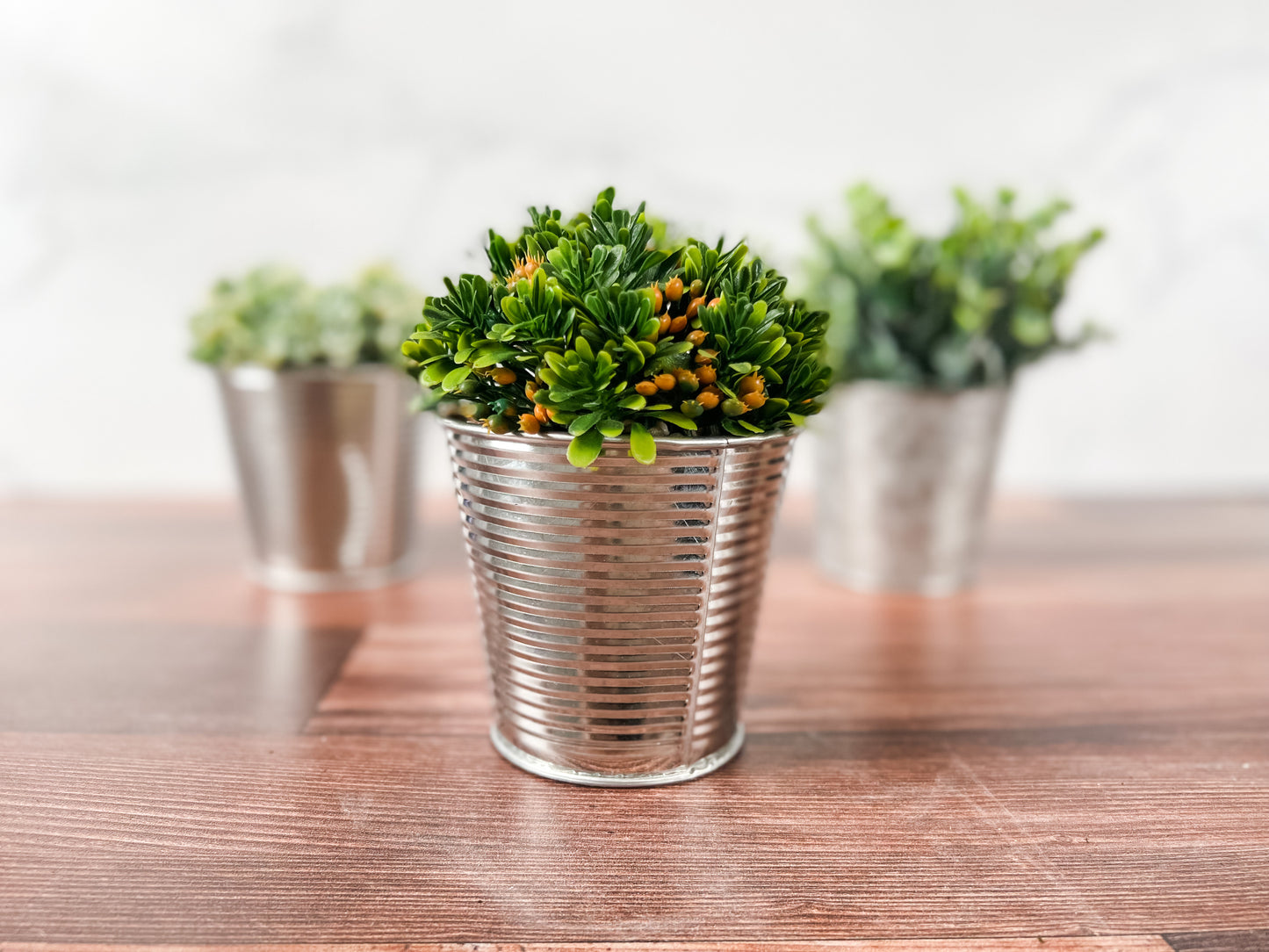 Yellow Bud Succulent Plant