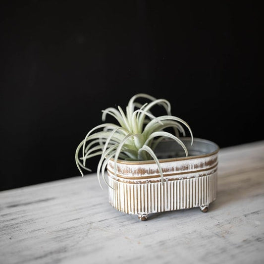 Mini Trough Planter