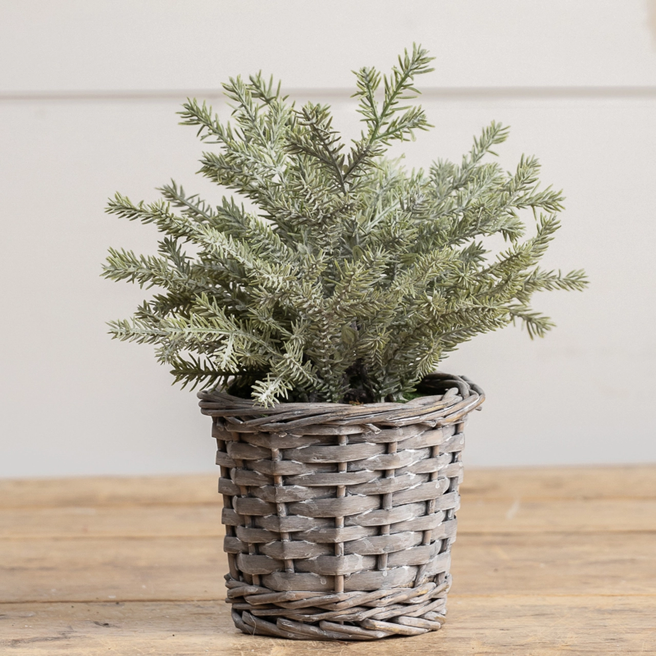 Tabletop Pine Tree