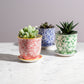 Teacup Inspired Pot and Saucer Planter