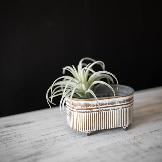 Mini Trough Planter